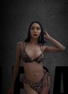 Shantal slimbody ladyboy 25🇵🇭 - Acompañantes transexual in Dubai Photo 4 of 9