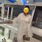 Airhostess..kanika here..no broker - escort in New Delhi