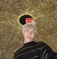 Airly - Male escort in Bangkok