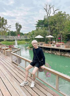 Airy - Male escort in Bangkok Photo 12 of 12