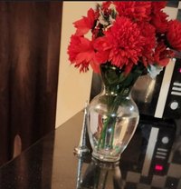 ❣️Katrina🦋❣️ - escort agency in Cairo