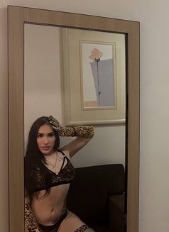 🇹🇷Aisha Honey🇷🇺 - Transsexual escort in Baku Photo 21 of 24