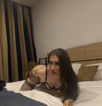 Aisha Honey - Transsexual escort in İstanbul