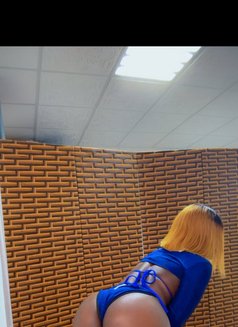 Aisha - escort in Al Ain Photo 3 of 4