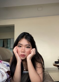 ❣️🪼🤍Aisha New Available🤍🪼❣️ - escort in Riyadh Photo 1 of 26