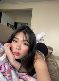 ❣️🪼🤍Aisha New Available🤍🪼❣️ - escort in Riyadh Photo 5 of 26