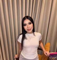 ❣️🪼🤍Aisha New Available🤍🪼❣️ - escort in Riyadh