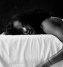Aisha New Black Latin Sin in Vienna - escort in Vienna Photo 1 of 7