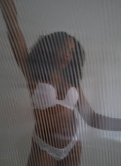 Aisha New Black Latin Sin in Vienna - puta in Vienna Photo 2 of 7