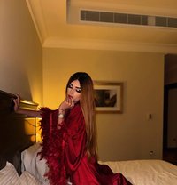 Aisha Professonal Massage Hot - Acompañantes transexual in Doha