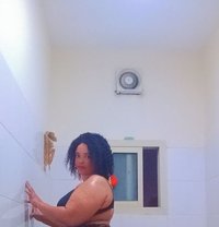 Aisha - escort in Al Manama