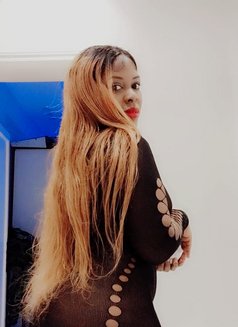 Aisha - puta in Riyadh Photo 1 of 4