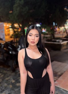 Aisha VIP - escort in Phuket Photo 18 of 19