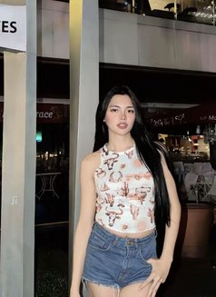 Ajmendez111 - Transsexual escort in Manila Photo 7 of 8