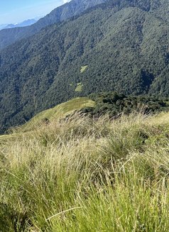 Akash - Acompañantes masculino in Kathmandu Photo 3 of 3