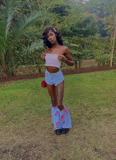 Akasha - Transsexual escort in Nairobi Photo 5 of 10