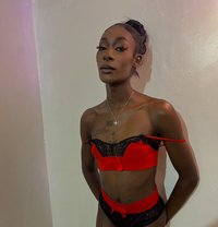 Akasha - Transsexual escort in Nairobi