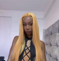 Akasha - Transsexual escort in Nairobi