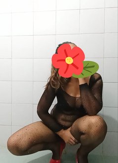 Akeshi Shanaya Independent - escort in Colombo Photo 26 of 30