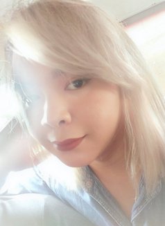 Akiko Shimizu - Transsexual escort in Manila Photo 15 of 15