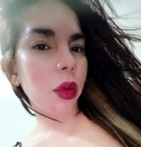 Akina - Acompañantes transexual in Manila