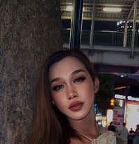 Akira - Transsexual escort in Bangkok