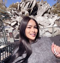 Alana - Transsexual escort in Cebu City