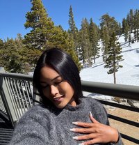 Alana - Transsexual escort in Cebu City