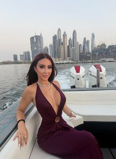 Alana arabic sexy doll i do all just ask - escort in Dubai Photo 11 of 18