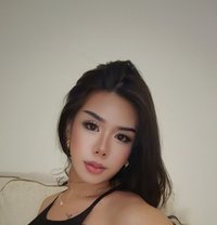 Alayla - Acompañantes transexual in Riyadh