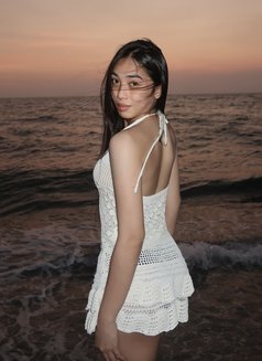 Alba xoxo - Transsexual escort in Ho Chi Minh City Photo 8 of 30