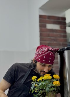 Albert - Male escort in Seoul Photo 1 of 4