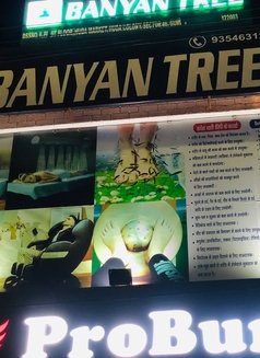 Banyan Tree - escort in Gurgaon Photo 8 of 30