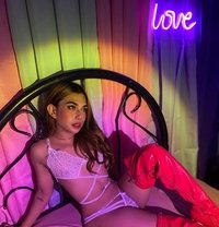 Alcyone haruki - Acompañantes transexual in Manila