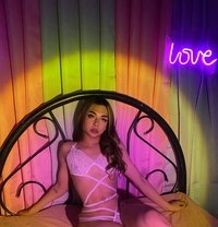 Alcyone haruki - Acompañantes transexual in Manila