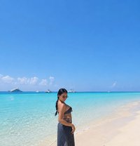 Alena - Transsexual escort in Bali