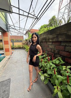 ALENA Mendez Arrived Bali - escort in Bali Photo 5 of 6