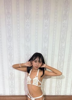 Alesha Hot and Good Service Escort - escort in Bali Photo 5 of 8