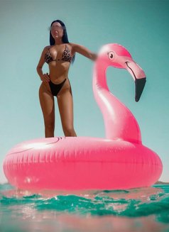 Alessia - escort in Barcelona Photo 2 of 15