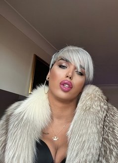 Necla Xxl Sexy - Transsexual escort in İstanbul Photo 5 of 20