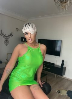 Necla Xxl Sexy - Transsexual escort in İstanbul Photo 19 of 19