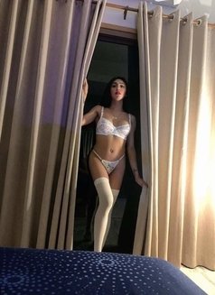 Ts Ava, - Transsexual escort in Bangkok Photo 17 of 29