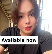 Alex both - Acompañantes transexual in Dammam