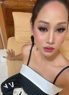 Alex Driller with Poppers - Acompañantes transexual in Taipei Photo 11 of 12