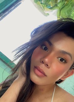 Alex - Acompañantes transexual in Cebu City Photo 6 of 6
