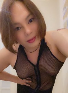 Alex - Transsexual escort in Dammam Photo 13 of 14