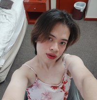 Alex 🏳️‍ - Transsexual escort in Dubai