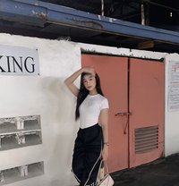 Alex - Acompañantes transexual in Manila