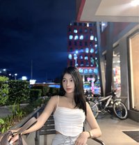 Alex - Acompañantes transexual in Manila