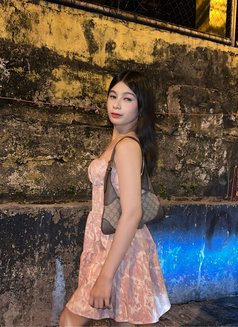 Alex - Acompañantes transexual in Manila Photo 12 of 15